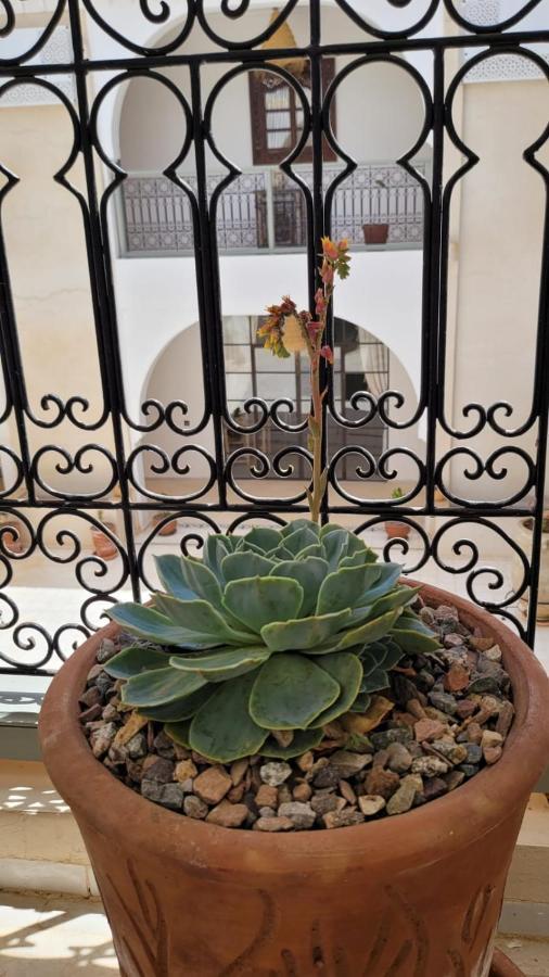 Riad Nohad Marrakech Marrakesh Esterno foto