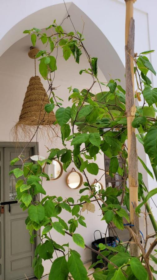 Riad Nohad Marrakech Marrakesh Esterno foto